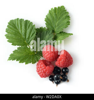 various fresh berries isolated on white background Stock Photo