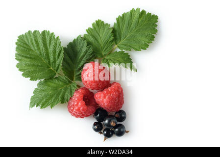 various fresh berries isolated on white background Stock Photo