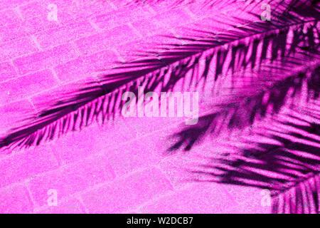 The shadow of a tropical palm tree on a road covered with pink tiles. Stock Photo