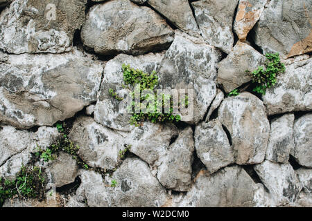 Wall of large natural stones with some greenery, natural background. Great for design and texture background. Stock Photo