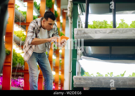 Dark-haired agriculturist wearing squared shirt working in greenhouse Stock Photo