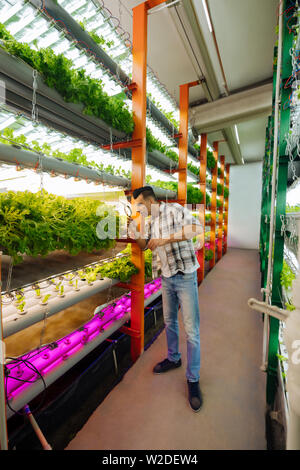 Dark-haired agriculturist wearing squared shirt standing in greenhouse Stock Photo