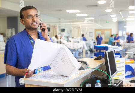 Male NHS nurse at a workstation in a hospital ward dealing with patient notes and telephone inquiries. Stock Photo