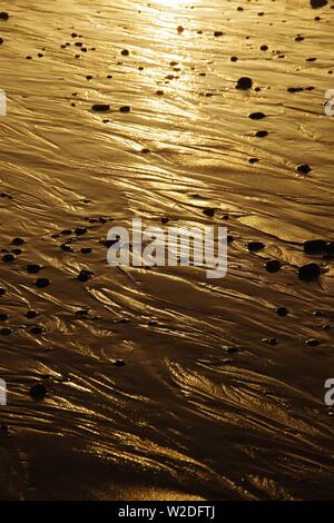 Intimate Landscape of Pebbles on Wet Sand in the Golden Light of Sunrise. Aberdeen Beach, Scotland, UK. Stock Photo