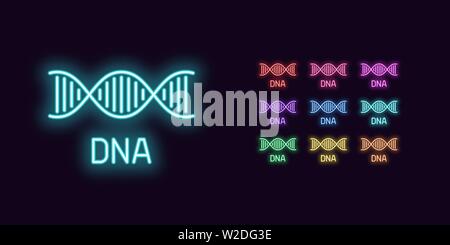 Neon DNA icon, structure. Set of glowing DNA Helix in Neon style with transparent backlight. Vector silhouette, red pink purple violet blue azure gree Stock Vector
