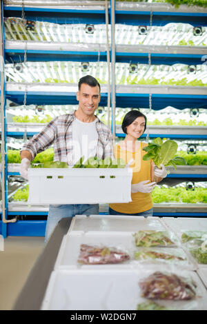 Husband holding box with lettuce standing near wife Stock Photo