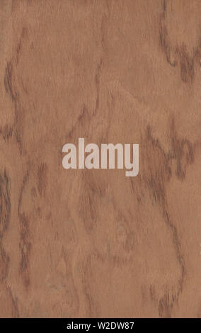 Scan of a wood veneer rose background Stock Photo