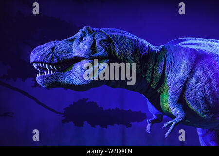 London, United Kingdom - December 21, 2018: Animated T-Rex at the Natural History Museum, London, United Kingdom. Stock Photo