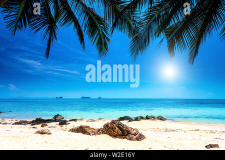 palm trees on tropical beach and blue sky with white clouds in Krabi province, Thailand Stock Photo