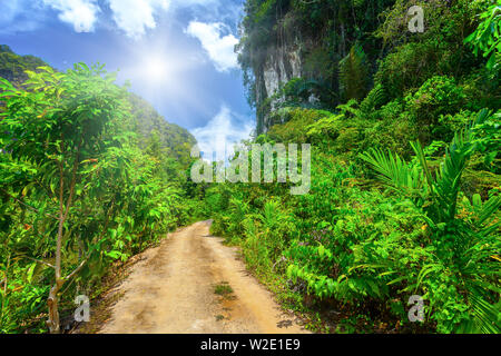 Ground rural road with tropical plants and blue sky with white clouds and sunshine Stock Photo