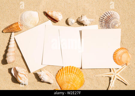Blank vintage images with seashels on sand background Stock Photo