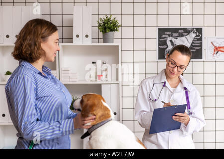 Reception at the vet. The woman is the owner and her dog is in the veterinary clinic. Communication with the doctor. Stock Photo