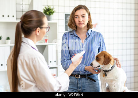 The veterinarian and the owner of the dog discuss the treatment of the dog. Veterinary clinic. Stock Photo