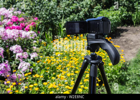 Camcorder on a tripod in the garden shoots flowers Stock Photo