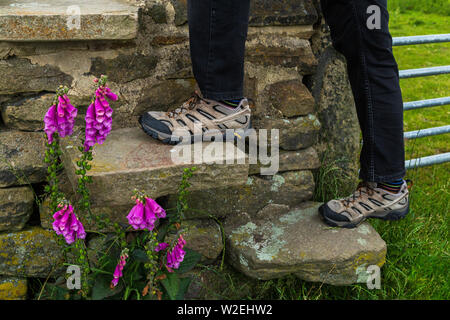 A man wearing walking trainers steps over a stone stile. Stock Photo