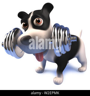 Rendered image of a cute black and white puppy dog lifting weights, 3d illustration Stock Photo