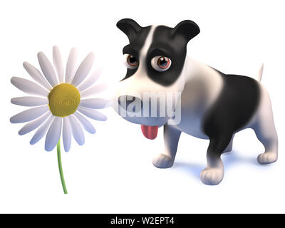 Rendered image of a cute black and white puppy dog standing by a daisy flower, 3d illustration Stock Photo