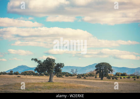 Savannah landscape in spring with cloudy sky Stock Photo