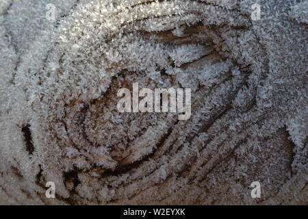 Frost on a Driftwood Tree Trunk. Aberdeen Beach, Scotland, UK. Stock Photo