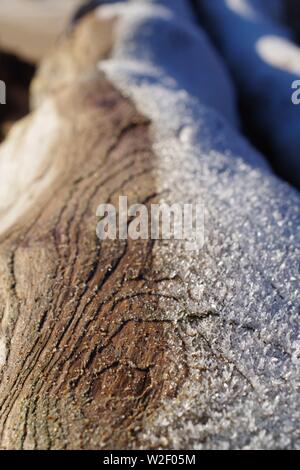 Frost on a Driftwood Tree Trunk. Aberdeen Beach, Scotland, UK. Stock Photo