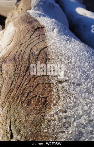 Frost on a Driftwood Tree Trunk. Aberdeen Beach, Scotland, UK. Stock Photo