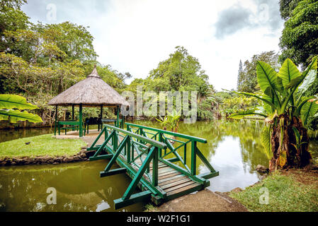 Sir Seewoosagur Ramgoolam Botanical Garden on paradise island of Mauritius. Toned image.