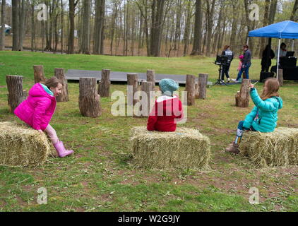 Meriden, CT USA. Apr 2019. Daffodil Festival. Young girls having simple fun with throwing hay at each other. Stock Photo