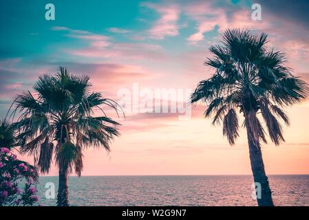 Palm trees under the rays of the colorful sunset. Stock Photo