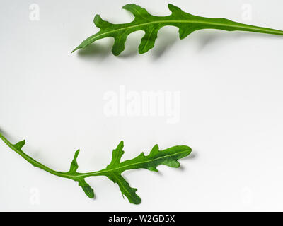 Creative layout made with arugula leaves. Two arugula or rucola leaves with copy space for design or text in center. Isolated on white background. Top view or flat lay. Stock Photo