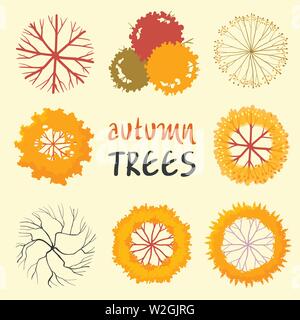 Trees top view set. Landscape architecture design projects. Vector illustration in autumn color style. Stock Vector