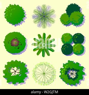 Trees top view set. Landscape architecture design projects. Vector illustration. Stock Vector