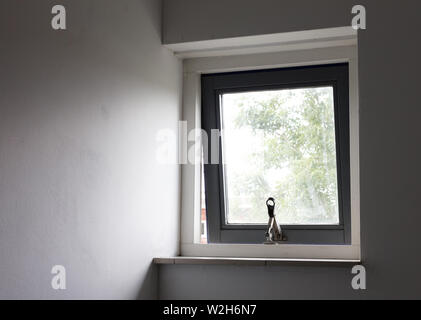 Small open window, view from inside to outside Stock Photo