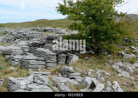 Limestone pavement grikes Ogof Ffynnon Ddu National Nature Reserve Brecon Beacons National Park Fforest Fawr UNESCO Geopark Wales Cymru UK Stock Photo