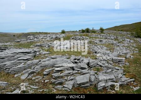 Limestone pavement grikes Ogof Ffynnon Ddu National Nature Reserve Brecon Beacons National Park Fforest Fawr UNESCO Geopark Wales Cymru UK Stock Photo