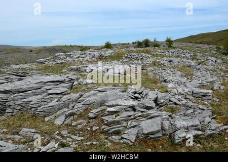 Limestone pavement grikes Ogof Ffynnon Ddu National Nature Reserve Brecon Beacons National Park Fforest Fawr UNESCO Geopark Wales Cymru UK Stock Photo