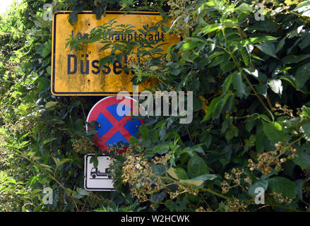 01 July 2019, North Rhine-Westphalia, Duesseldorf: An overgrown place and traffic sign, hardly visible for the driver. Photo: Horst Ossinger//dpa Stock Photo