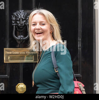 London, UK. 9th July 2019,  arrives at a Cabinet meeting at 10 Downing Street, London Credit Ian Davidson/Alamy Live News Stock Photo
