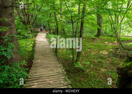 Wooden pathway leading through the dense and green forest at the Plitvice Lakes National Park, Croatia Stock Photo