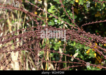 Rusty barbed wire. Clew of old rusty barbed wire. Stock Photo