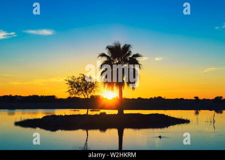 Sunset behind a palm tree silhouette on a small island in a lake in Namibia Stock Photo