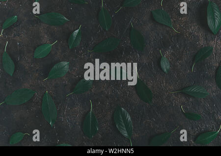 Fallen dark green foliage on the old,concrete, rustic floor. Stock Photo