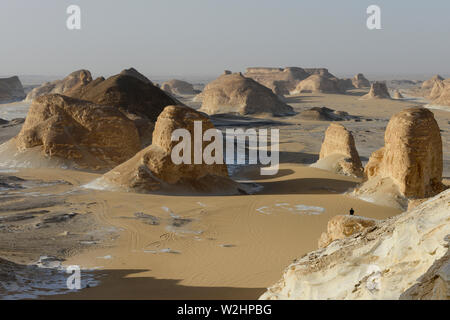 EGYPT, Farafra, Nationalpark White Desert, Naqb As Sillim - Pass of the Stairs , by sand and wind erosion shaped limestone and chalk cliffs Stock Photo