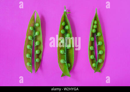 Three freshly picked green pea pods on a vibrant pink background Stock Photo