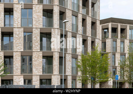 Houses at Eddington Cambridge UK a new development or district in the north west side of Cambridge City Stock Photo