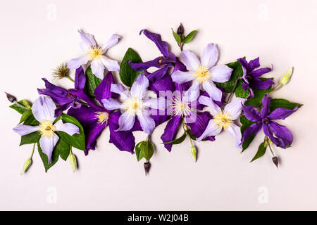 Summer floral composition. Creative layout made with beautiful flowers. Stock Photo