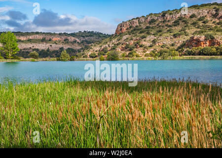 Reeds and bullrushes at Laguna Redondilla, Lagunas de Ruidera Natural Park, near Ossa de Montiel, Albacete province, Castile-La Mancha, Spain Stock Photo