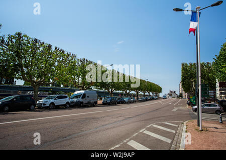 Row of pollarded trees with rectangular shaped canopy, branches in Chalon Sur Saone, Burrgundy, France on 3 July 2019 Stock Photo