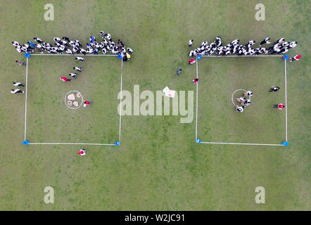 (190709) -- BEIJING, July 9, 2019 (Xinhua) -- Aerial photo taken on April 28, 2019 shows students taking part in a game of garbage sorting in Cixi, east China's Zhejiang Province. (Xinhua/Xu Yu) Stock Photo