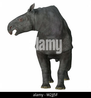 Paraceratherium was a herbivorous mammal that lived in Eurasia during the Eocene and Oligocene Periods. Stock Photo