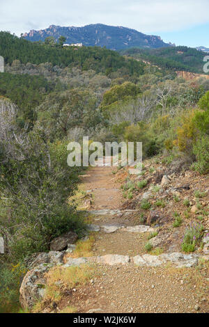 Stone steps on the hill. Domaine de Maure-Vieil, Mandelieu-La Napoule, French Riviera, France Stock Photo